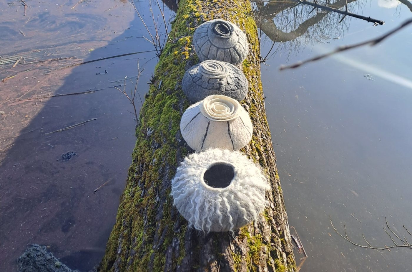 Vier gefilzte Urnen aufgereiht auf einem bemoosten Ast ueber einem See mit Spiegelung kahler Baeume